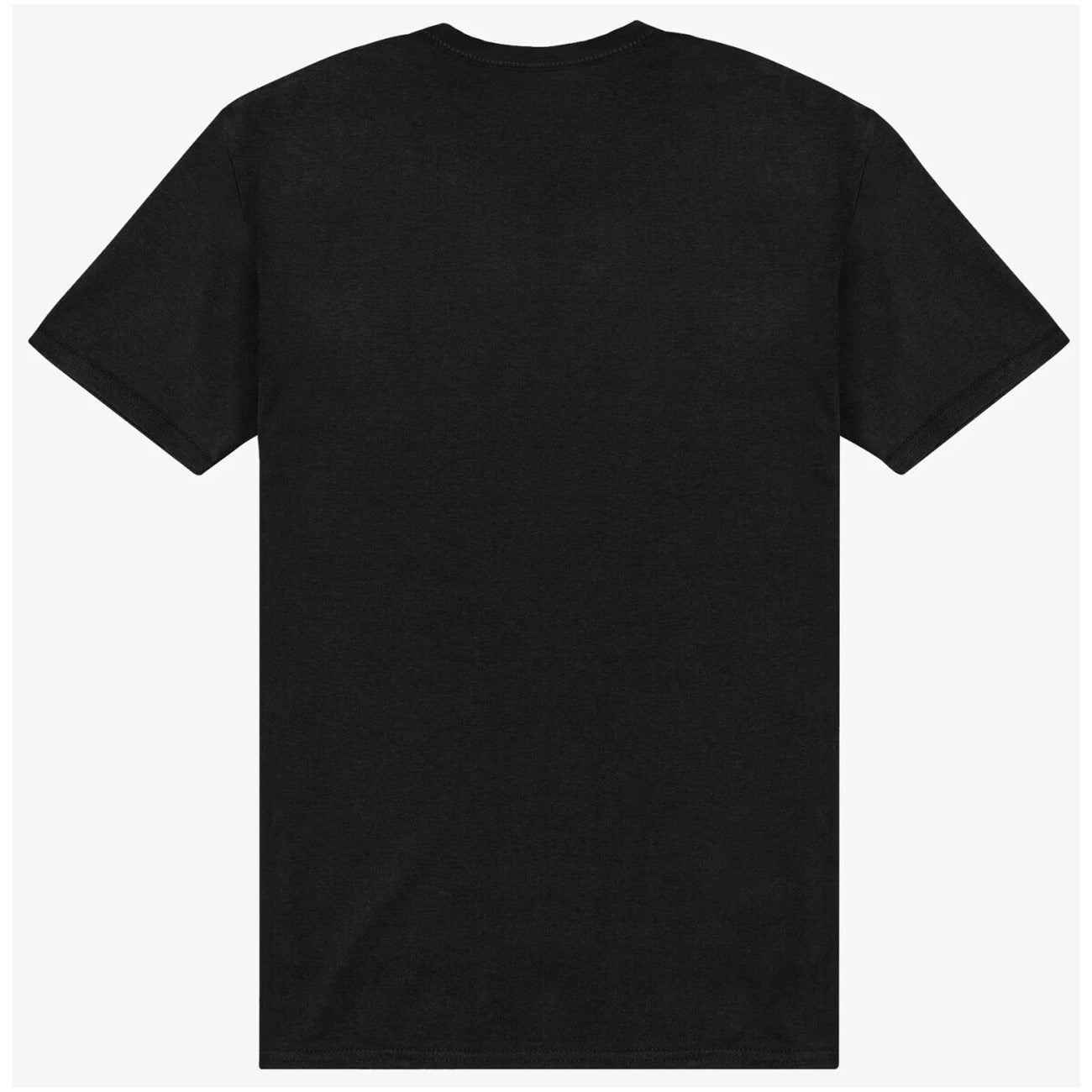 The North Face - The North Face Homme T-Shirts